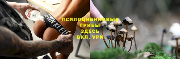 не бодяженный Зеленодольск