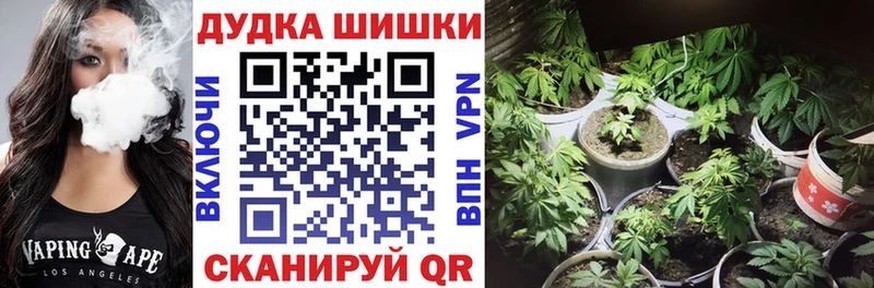 Купить  Жигулёвск  Каннабис SATIVA & INDICA 
